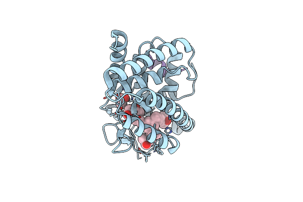 7ZFX image