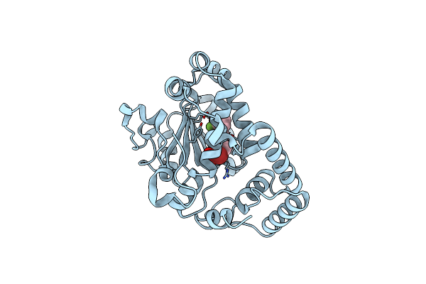 7ZGD image
