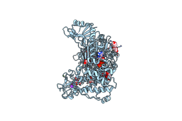 7ZH9 image
