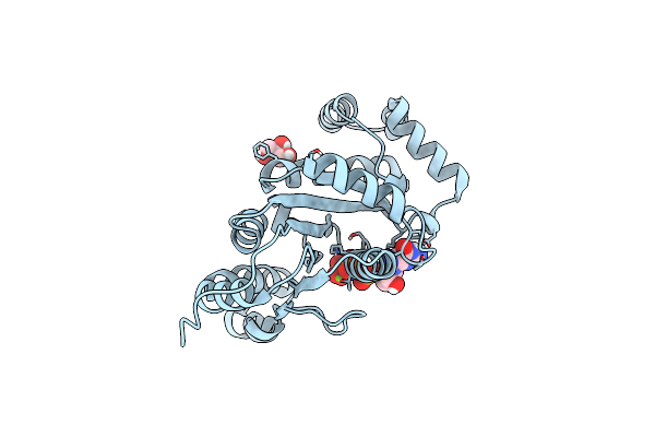 7ZHF image