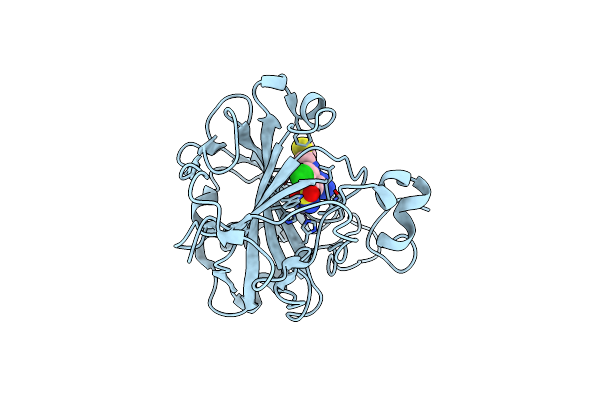 7ZL6 image