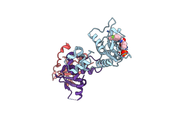 7ZLR image