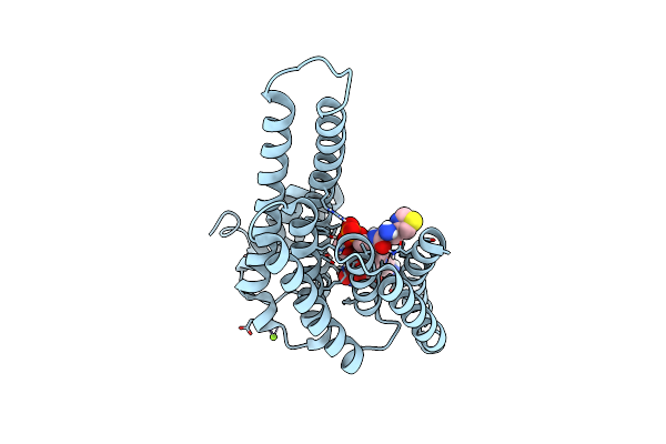 7ZMW image