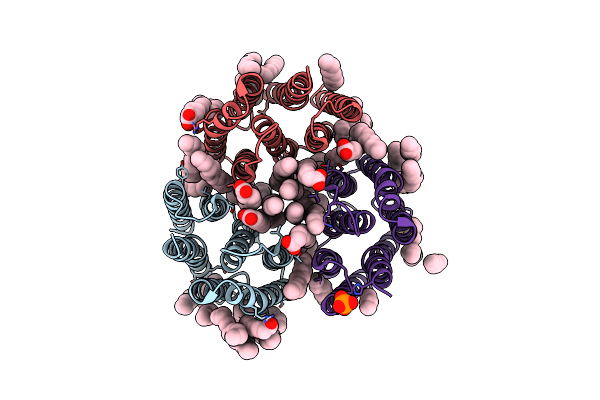 7ZNE image
