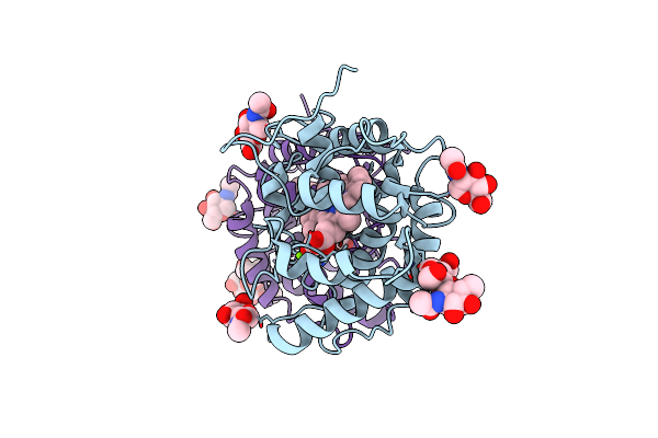 7ZNM image