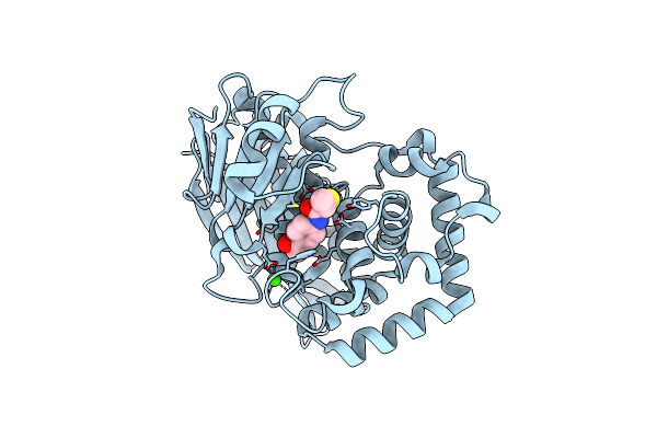 7ZOC image