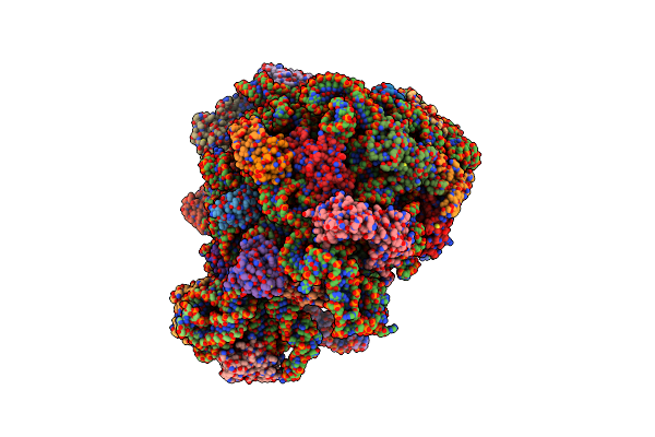 7ZOD image