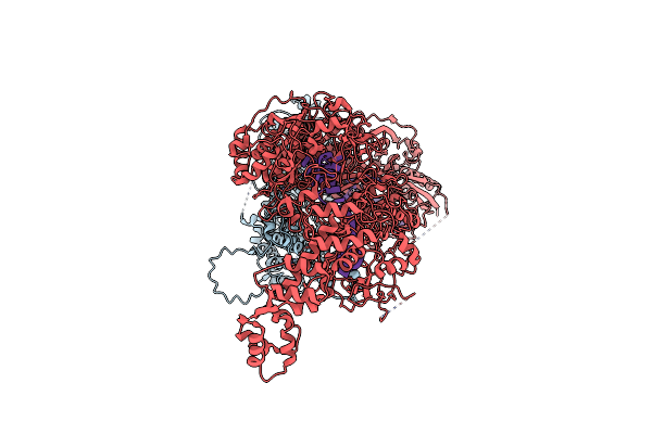 7ZOQ image