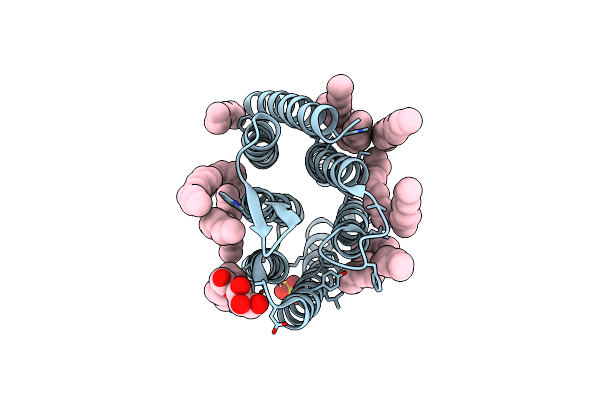 7ZOY image