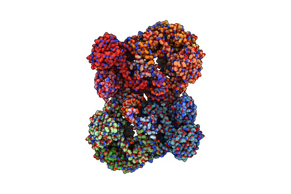 7ZPP image