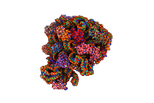 7ZQ5 image