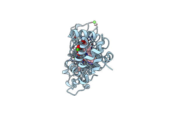 7ZS2 image