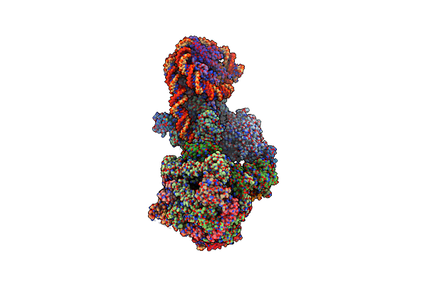 7ZSA image