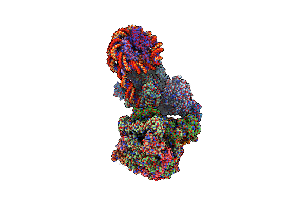 7ZSB image