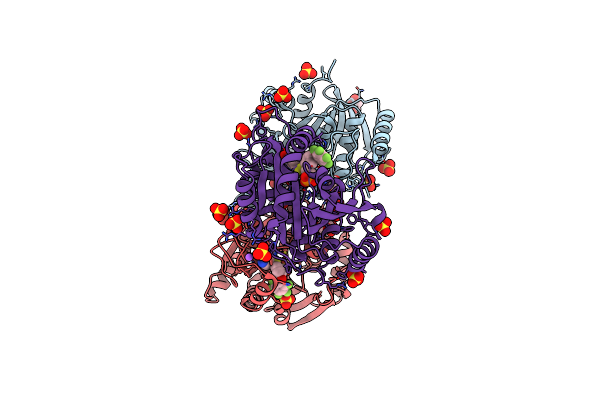 7ZSO image