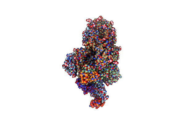 7ZSS image