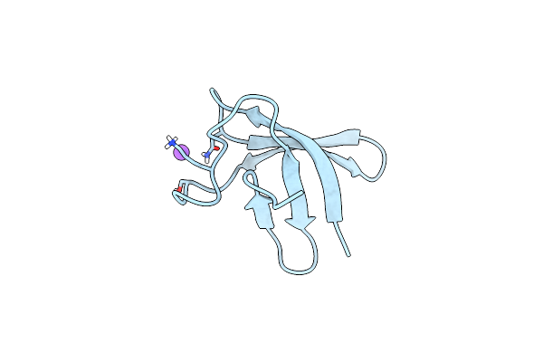 7ZTF image
