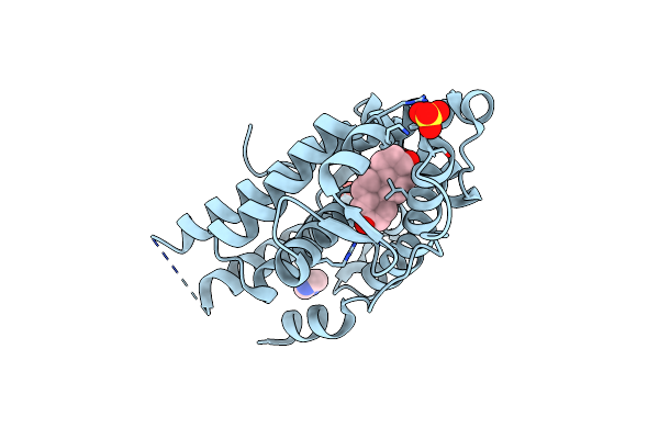7ZTX image
