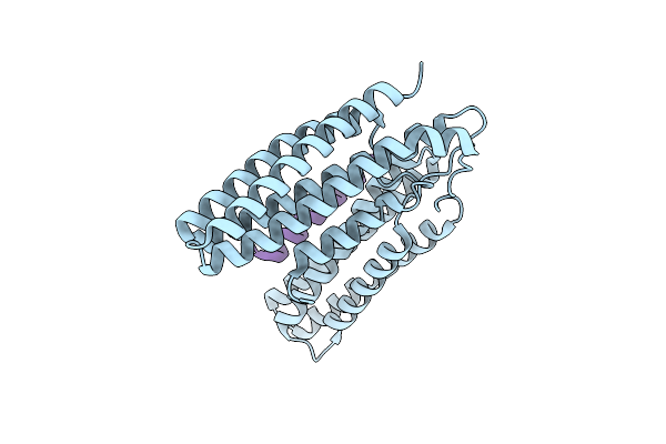 7ZW4 image