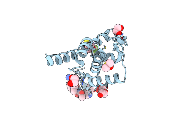 7ZWS image