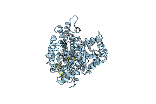 7ZXC image