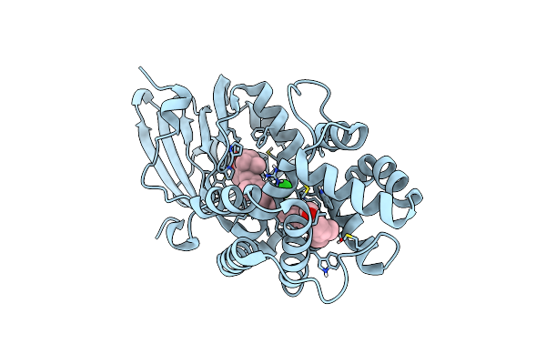 7ZXV image