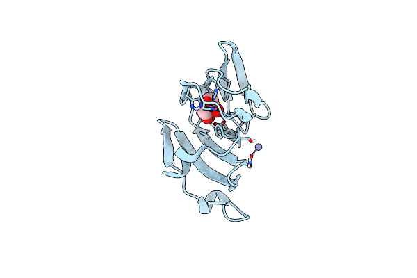 7ZYC image