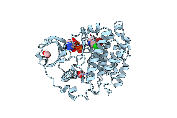 7ZYD image