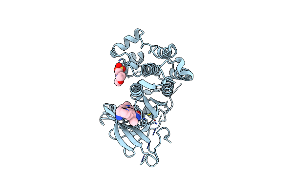 7ZYP image
