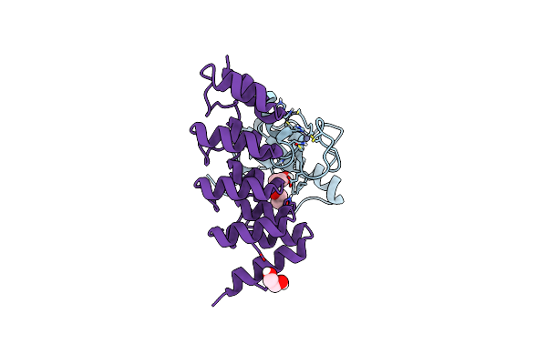 7ZYU image