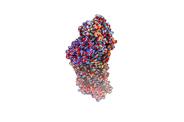 7ZYW image
