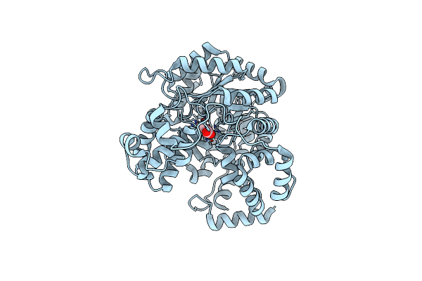 7ZZ2 image