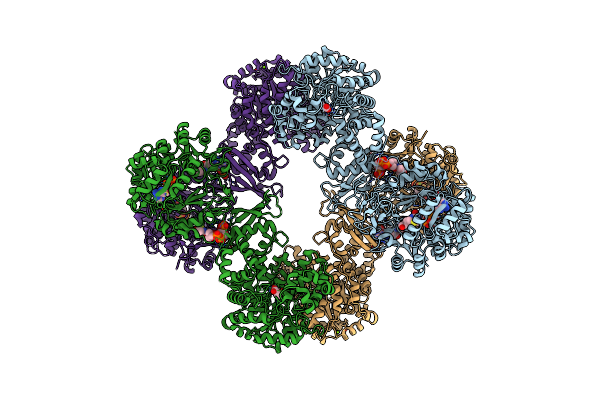 7ZZ3 image