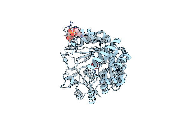 7ZZ5 image