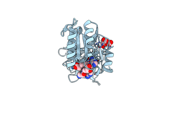 7ZZB image