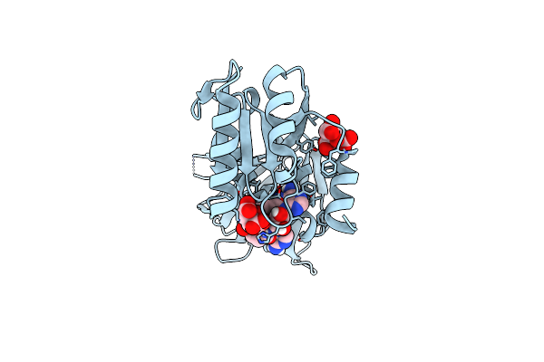 7ZZJ image