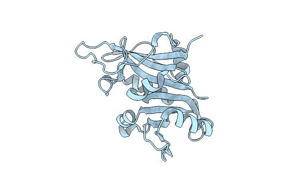 7ZZX image