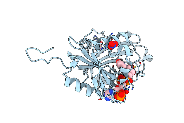 8A0N image