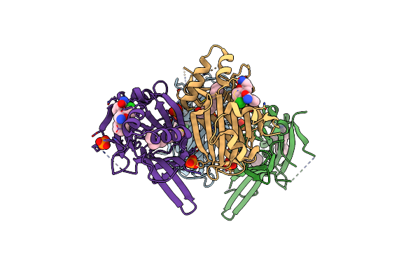 8A0U image