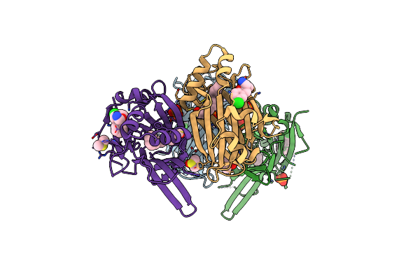 8A0V image