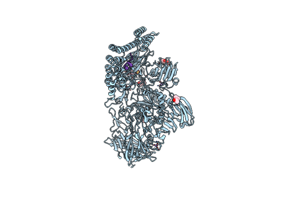 8A19 image