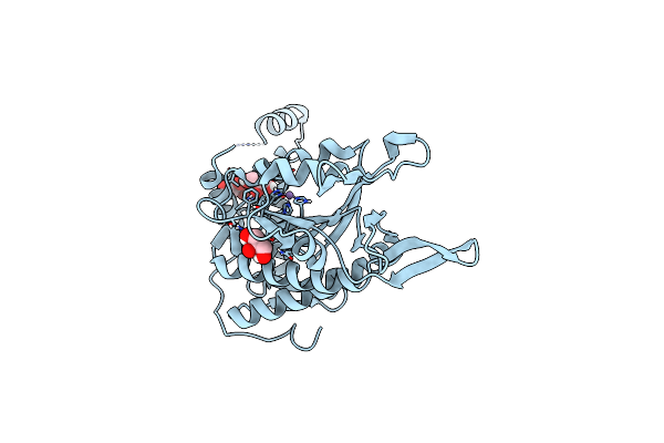 8A1B image
