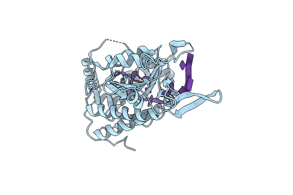 8A1C image