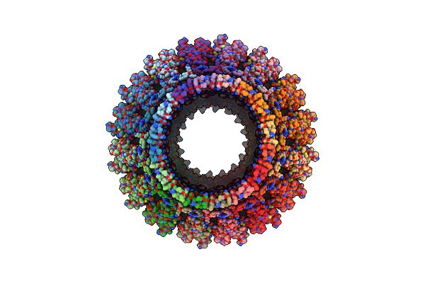 8A1D image