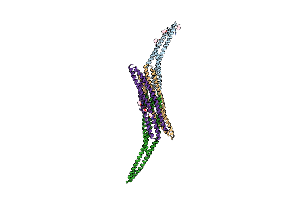 8A1G image