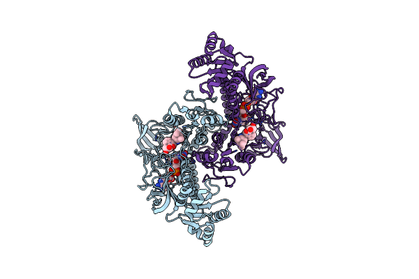 8A1R image