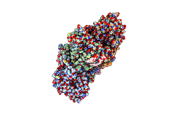 8A1X image