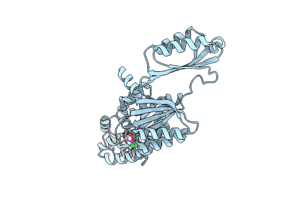 8A1Z image
