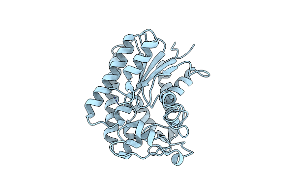 8A24 image