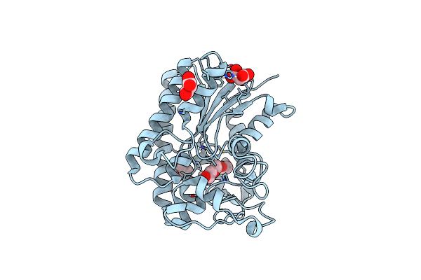 8A25 image
